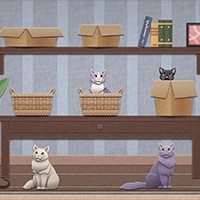 Einstein's Cats - Game Đố Mẹo Logic