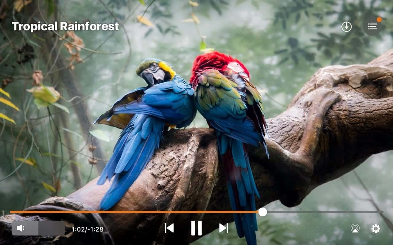 Elmedia Player for Mac