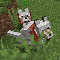Enchanted Wolves Mod Minecraft: Nâng cấp sói mạnh mẽ