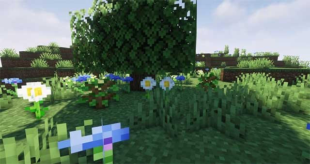 Các loài cây này sẽ có tốc độ phát triển khác nhau tùy thuộc vào quần xã bản địa