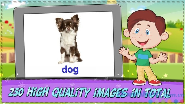 Hình ảnh minh họa