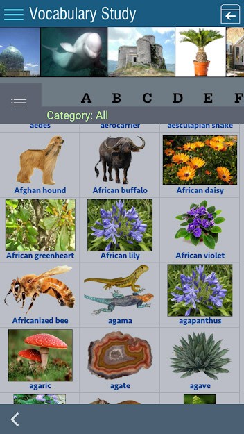 Hình ảnh minh hoạ cho từ mới