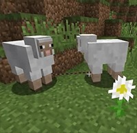 Entity Spring Mod Minecraft: Kết nối và Liên kết Entity