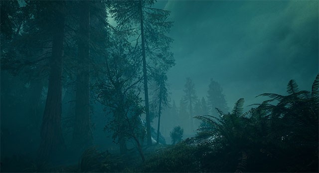Phiêu lưu khám phá khu rừng đen tối, nơi rất nhiều bí mật đang được che giấu tinh vi