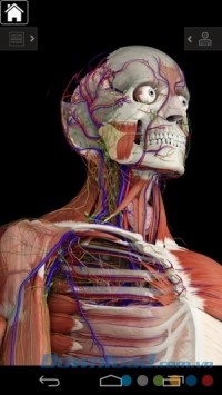 Ứng dụng y học Essential Anatomy 3 cho Android