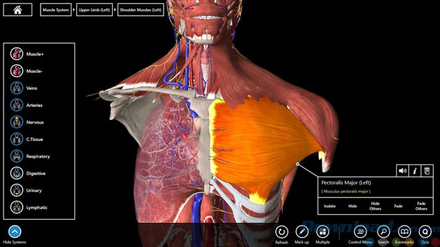 Tải Essential Anatomy