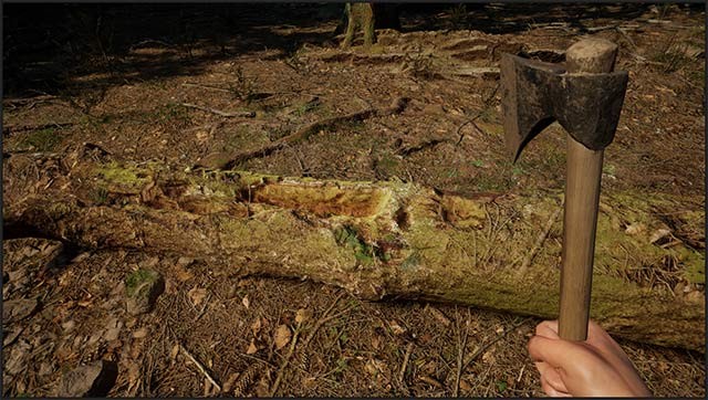 Săn bắn động vật, chặt cây lấy gỗ và thu thập tài nguyên phục vụ cho cuộc sống mới