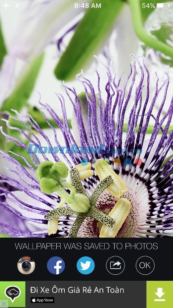 Chia sẻ ảnh nền