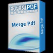 ExpertPDF Merge PDF 3.4.0 - Phần mềm nối file PDF