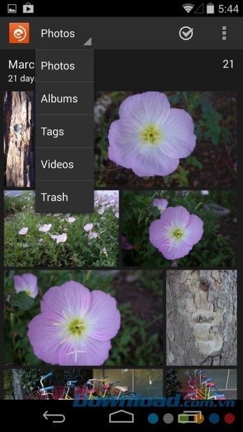 Phân loại thành từng mục dành cho video và ảnh