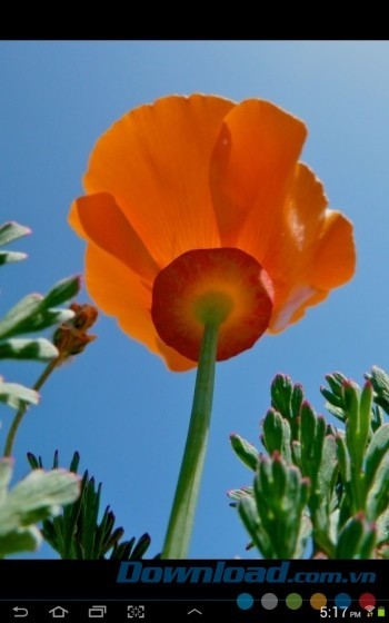 Giữ nguyên chất lượng và độ phân giải