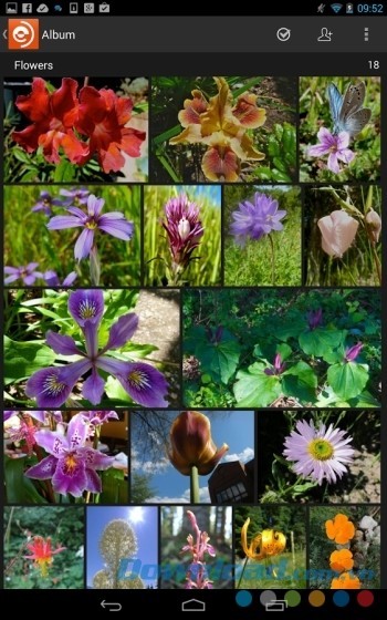 Lưu ảnh vô hạn và giải phóng bộ nhớ điện thoại