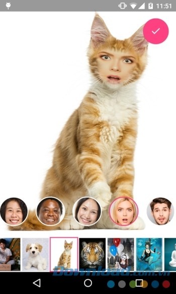 Kết hợp ảnh của bạn với các đối tượng khác