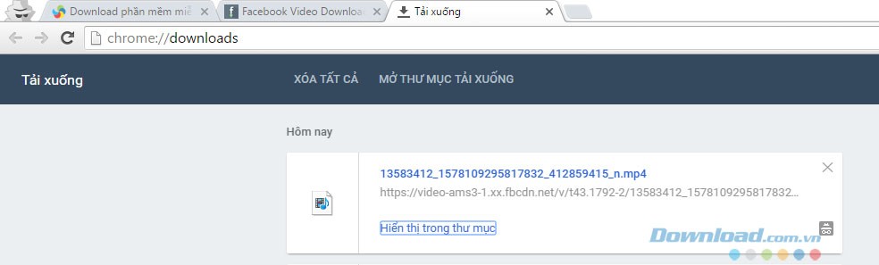 File tải về định dạng MP4