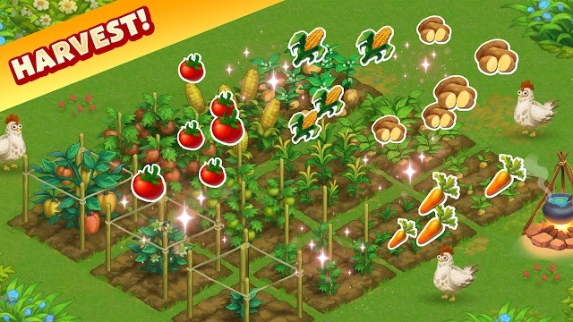 Thu hoạch các loại nông sản để chế biến món ăn hoặc buôn bán