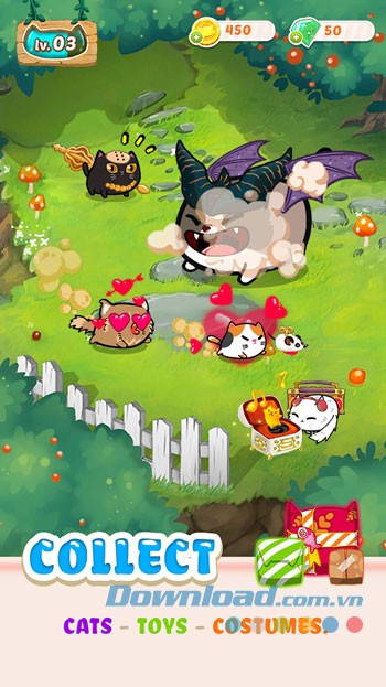 Thu thập những chú mèo, trang phục và đồ chơi mới