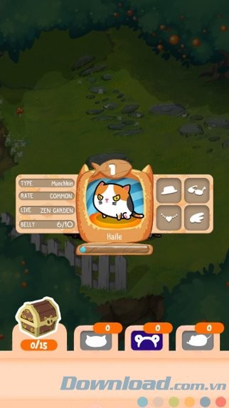 Sở hữu hơn 25 chú mèo