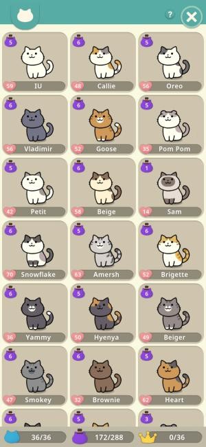 Vô vàn mèo đáng yêu