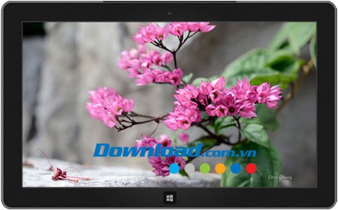 Fantastic Flowers theme