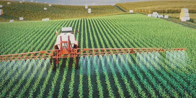 Làm ruộng và thu hoạch hoa màu, đem ra chợ bán kiếm tiền