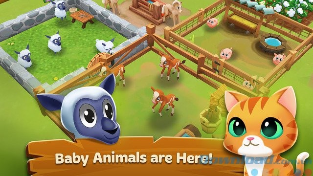 Chăm sóc loài vật mới