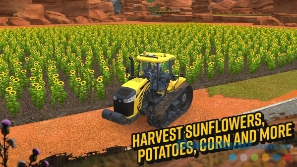 Thu hoạch 6 mùa nông sản khác nhau trong Farming Simulator 18 cho Android