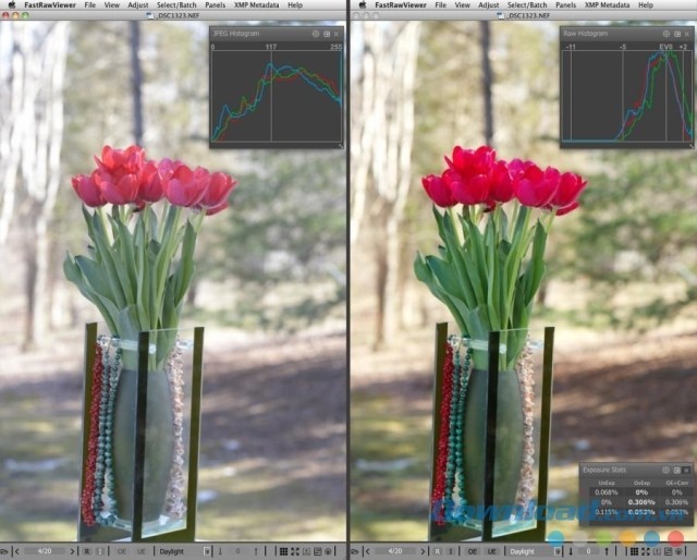 Hiệu chỉnh và so sánh chất lượng ảnh RAW trên cùng một giao diện