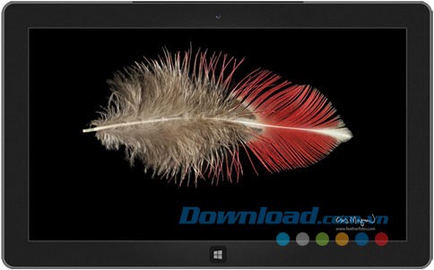 Feather Photos theme