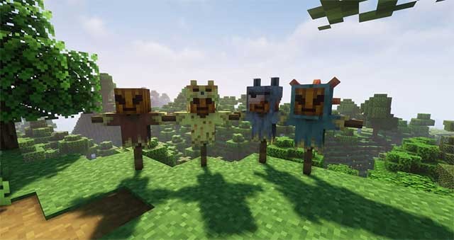 Bù nhìn có thể được đặt ở bất kỳ vị trí nào trên cánh đồng để trang trí