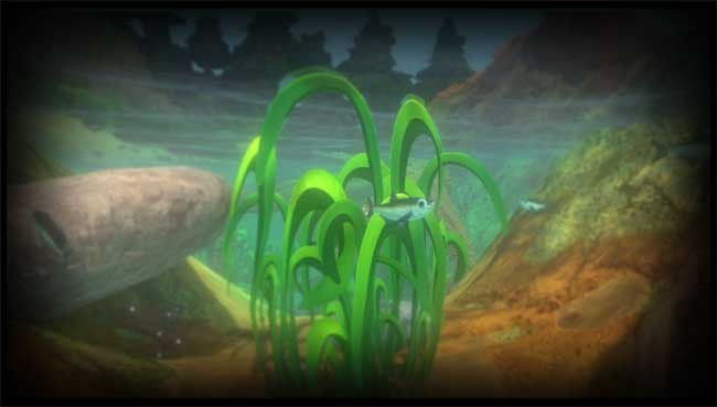 Feed and Grow có cá mương Âu