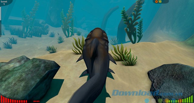 Dần trở thành cá lớn