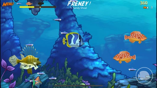 Chơi cùng vô vàn những chú cá đẹp mắt