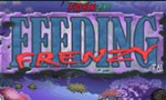 Feeding Frenzy cho Mac - Tải game cá lớn nuốt cá bé