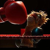 Felt That: Boxing - Game Đấm Bốc Rối Lông Xù