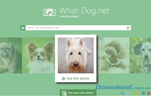 Giao diện phần mềm