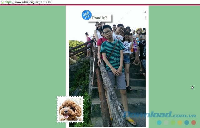 Phân tích ảnh nhóm