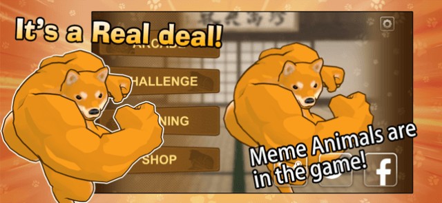 Bước vào trận chiến giữa các con thú mạnh mẽ trong game Fight of Animals