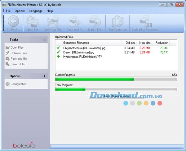 FILEminimizer Pictures
