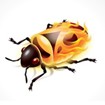 Firebug Lite for Chrome 1.4 - Web Development Tools