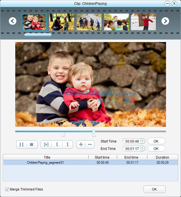 Firecoresoft Flash Encoder