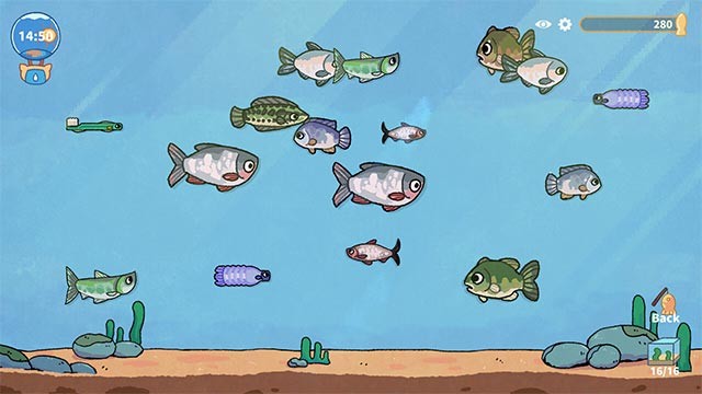 Trưng bày những chú cá câu được trong bể cá ảo hoặc bán lấy tiền