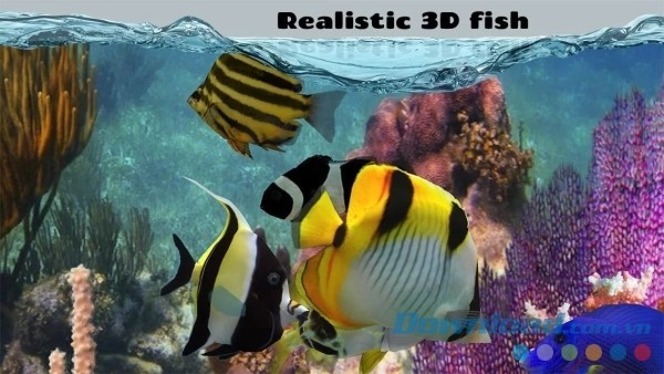 Game nuôi cá hấp dẫn Fish Farm 2 cho Android