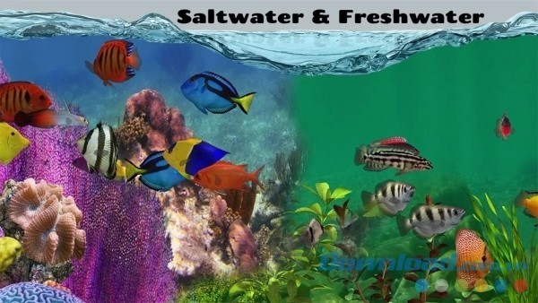 Fish Farm 2 cho Android để người chơi nuôi cả cá nước mặn và cá nước ngọt