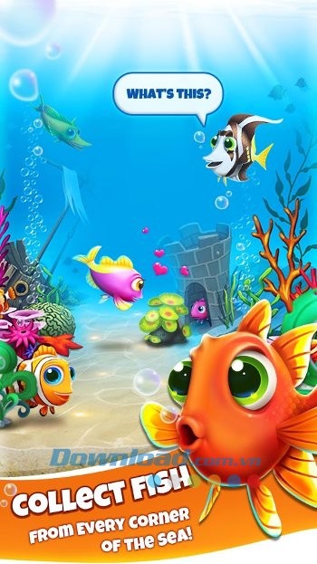 Thu thập các loài cá lớn nhỏ dưới đại dương