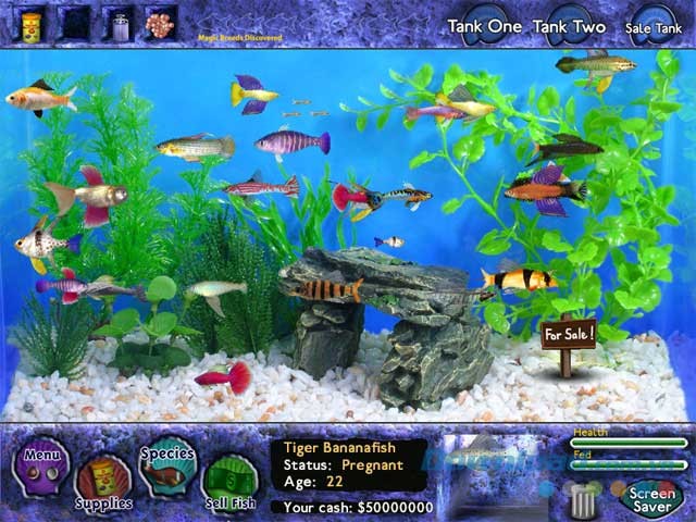 Game nuôi cá ảo Fish Tycoon