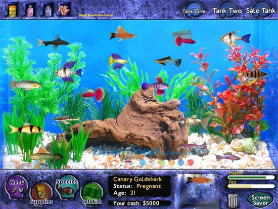 Fish Tycoon