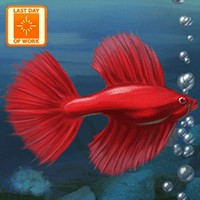 Fish Tycoon cho Android 1.0 - Game Nuôi Cá Ảo Hấp Dẫn