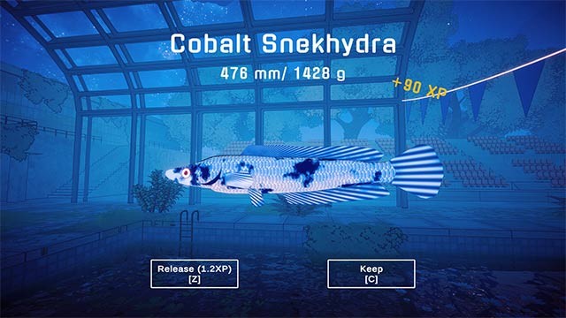 Khám phá những loài cá đa dạng, độc và hiếm chỉ có trong Fishing Alone game