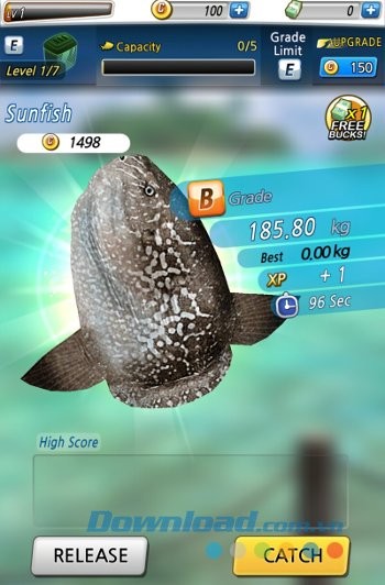 Fishing Fishing: Set The Hook! gồm hàng trăm loài cá