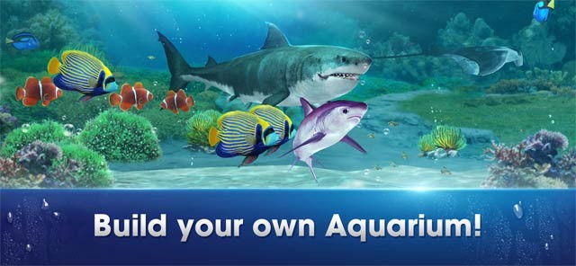 Xây dựng bể cá của riêng bạn